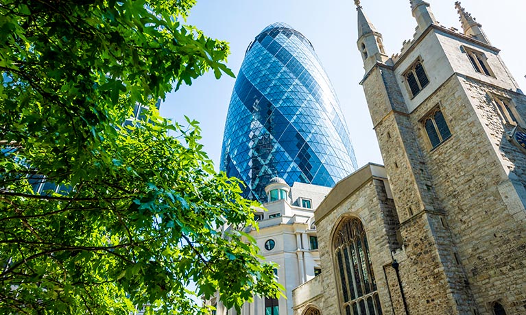 The top of the Gherkin building appearing behind a green tree