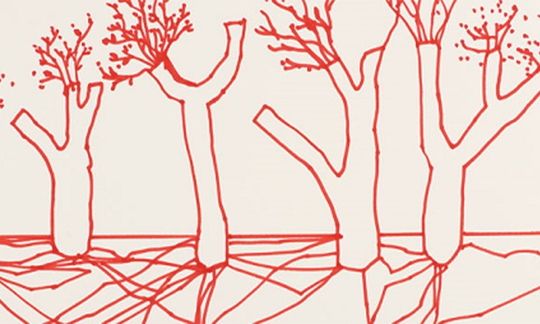 drawing of trees in red pen