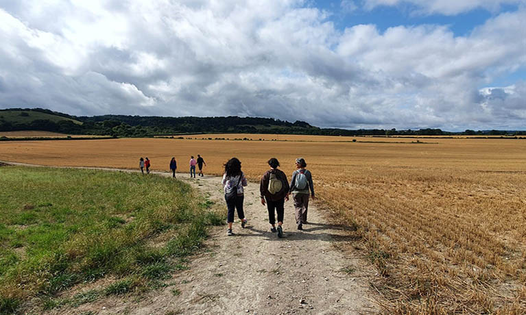 A group of people walking through a field