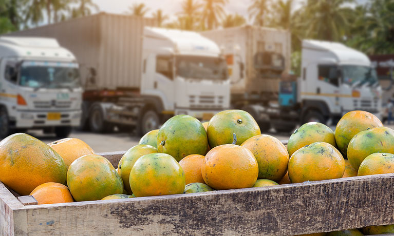 mangos with transport in the background