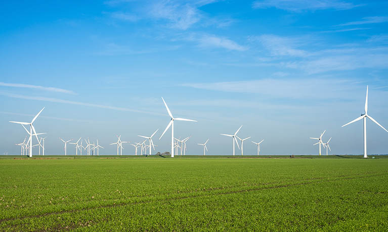 Wind turbines in a large field against a blue sky.