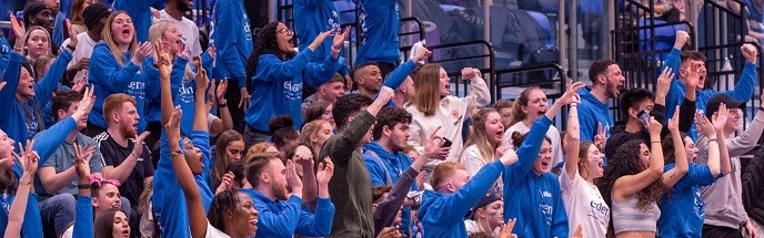 A crowd of people watching Varisty stood up off their seat cheering