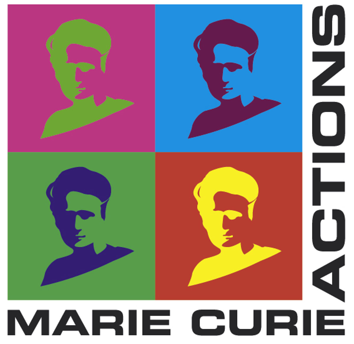 Marie Curie Fellowship logo