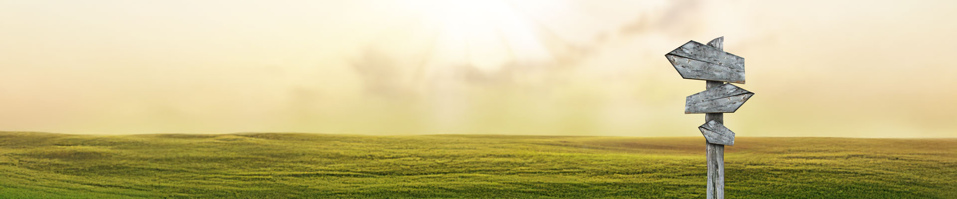 Empty quide-post in savana