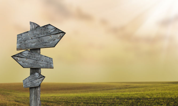 Empty quide-post in savana