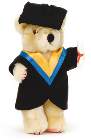 graduation bear