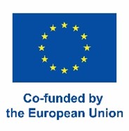 EU flag