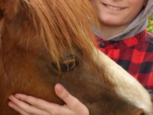 pony being petted
