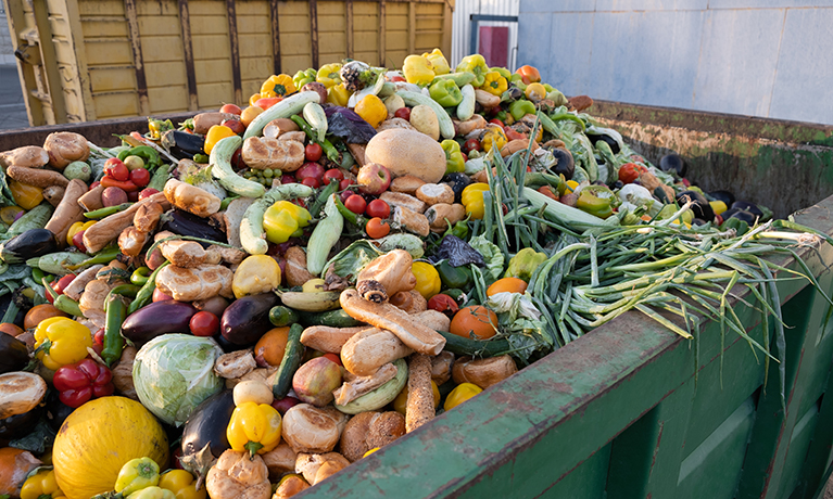Heap of Compost from fruit and vegetables
