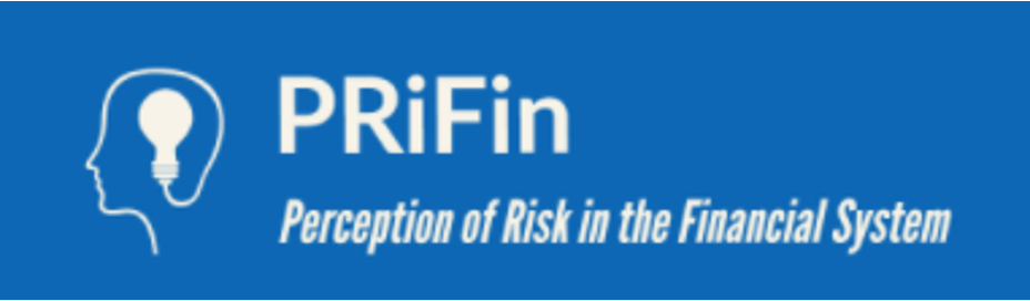 PRiFin Perception of Risk in the Financial System