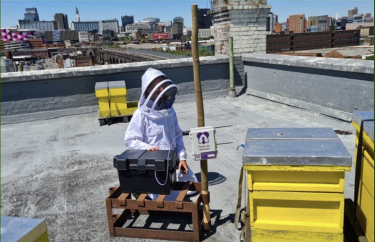 rooftop hives in Birmingham