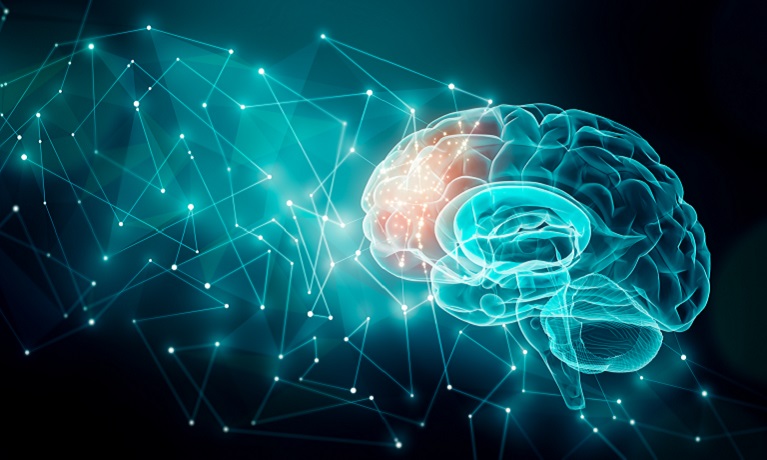 Human brain representing neural assessments and targeted interventions