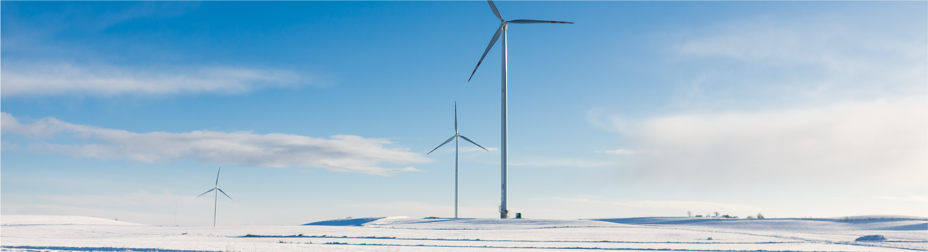 Intelligent Wind Turbines for Cold Climates