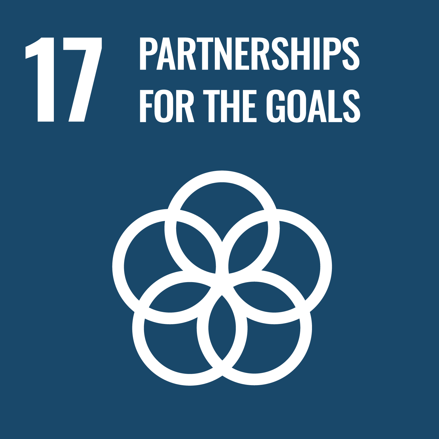 Partnerships for the goals logo.