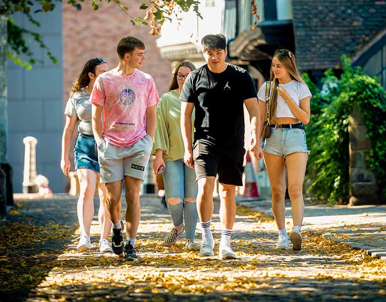 Students walking together on a clear day
