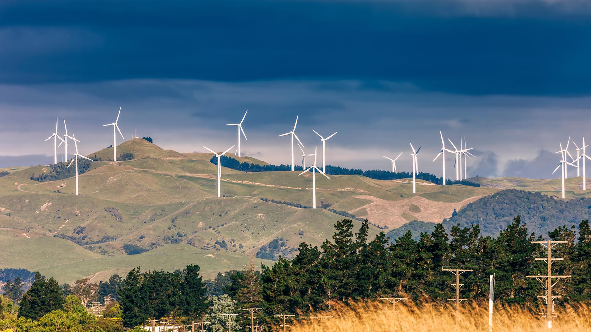 Sunny outdoor field scattered with wind turbines.