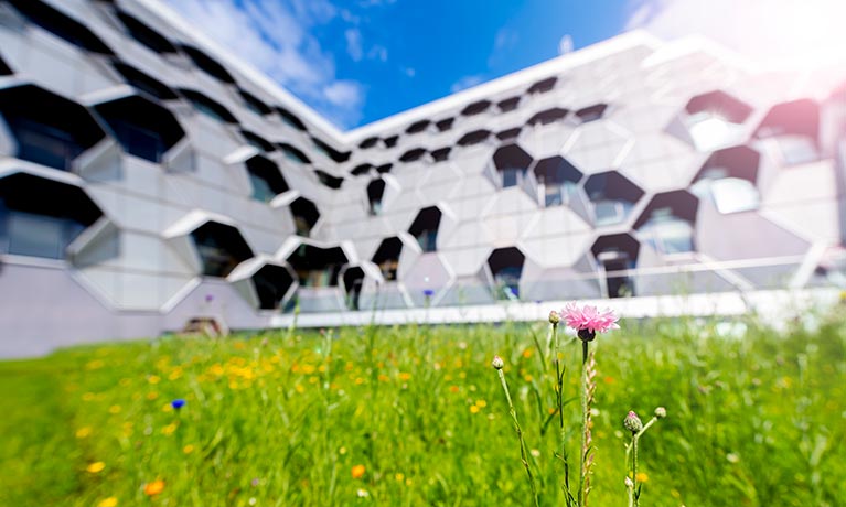 Exterior view of the EEC building on a summers day