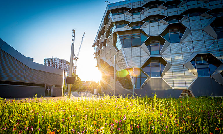 Glass building with a futuristic design in the sunshine