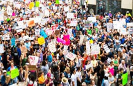aerial view of a crowd marching holding placards 