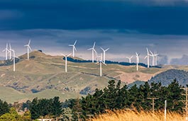 Sunny outdoor field scattered with wind turbines.