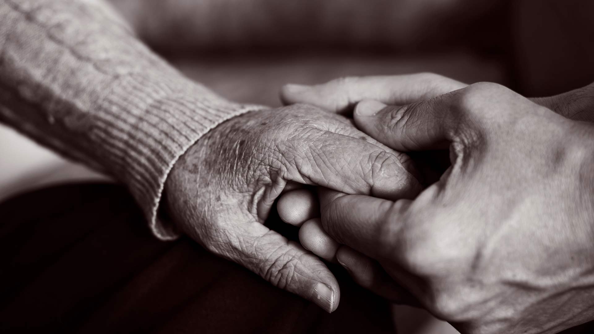 close up of a young hand holding an older hand 