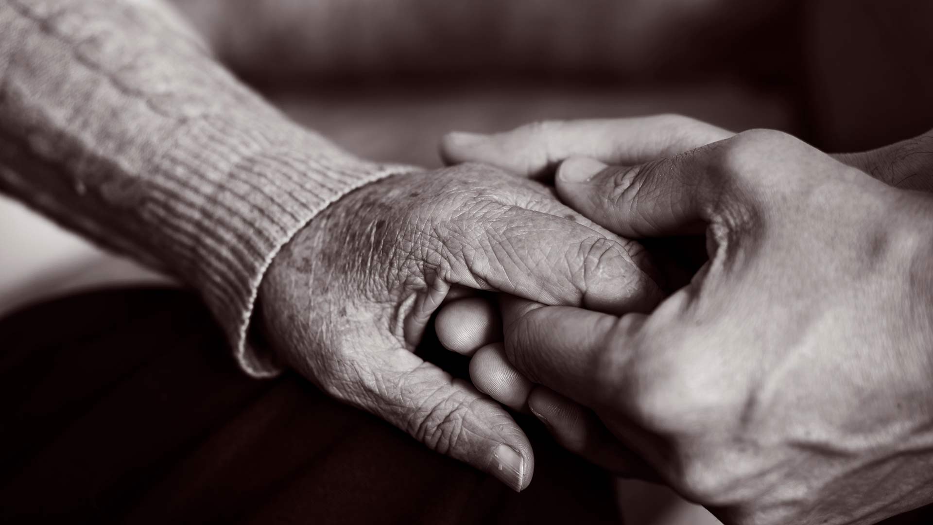 close up of a young hand holding an older hand