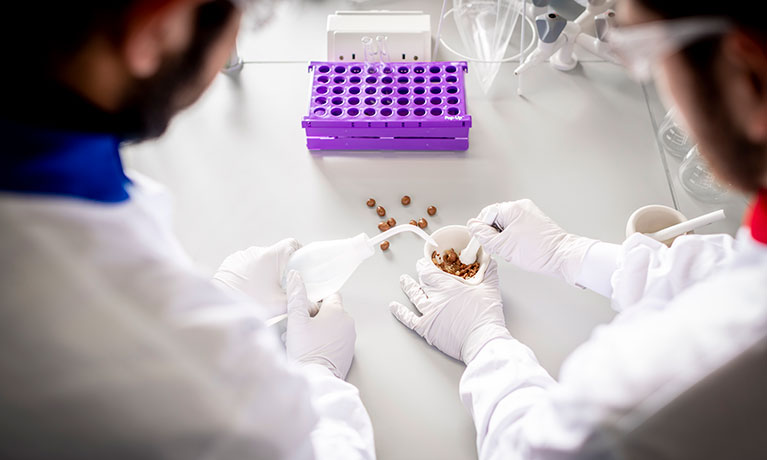 Overview of two sets of hands sorting out red tablets on a white table wearing white gloves