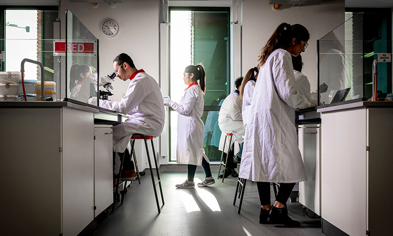 People wearing white coats while working in a lab looking through microscopes