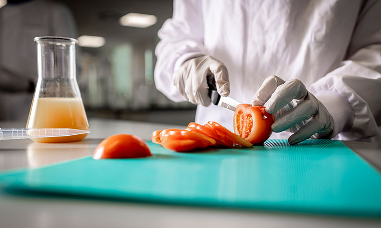 Closeup of hands wearing white gloves slicing a tomato on a green cutting board