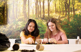 group of students working together against a forest mural background