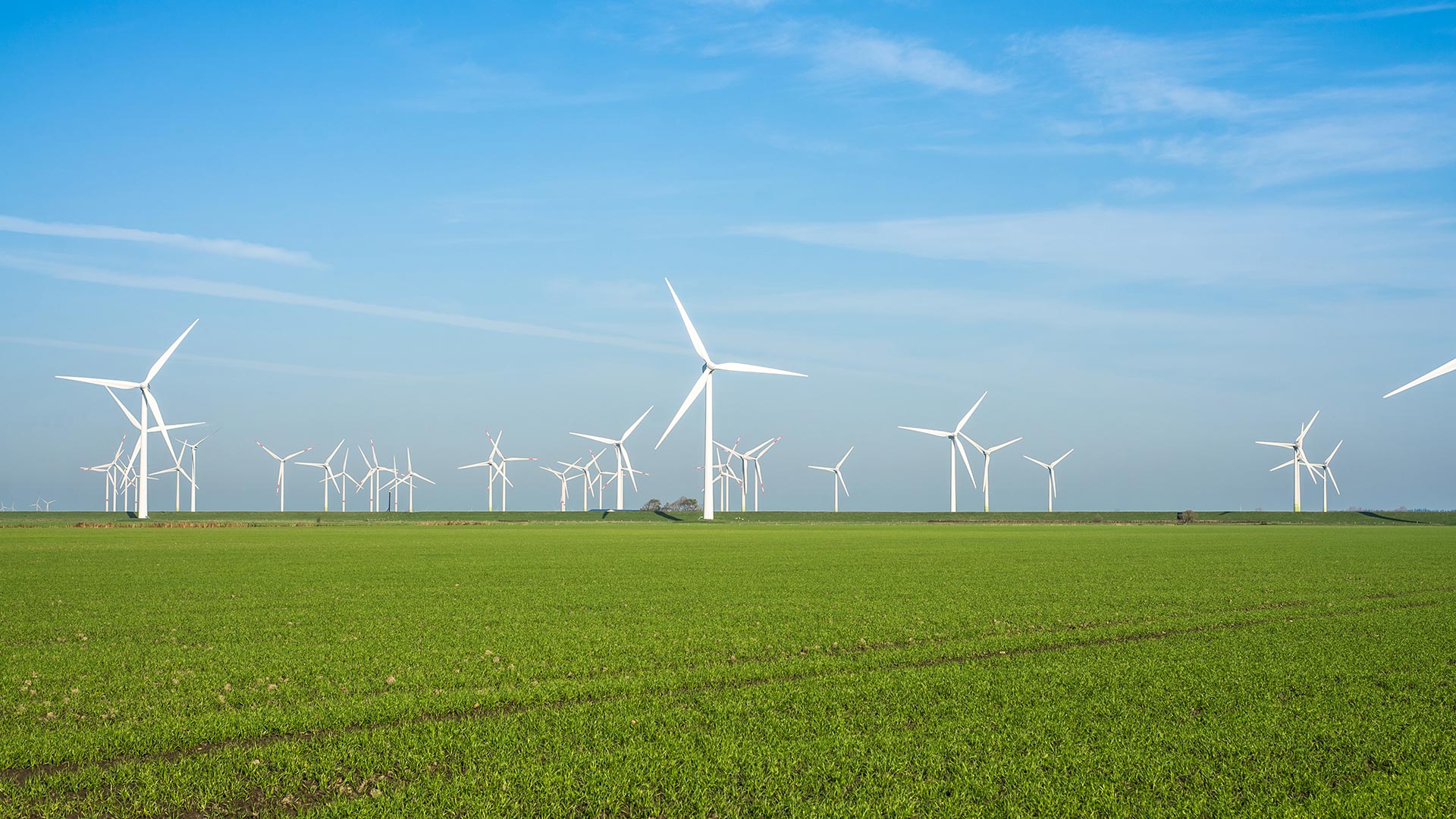 Wind turbines in a field