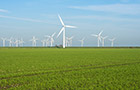 Renewable Energy Management MSc 