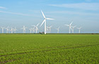 Renewable Energy Management MSc