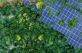 aerial view of a solar farm in a forest