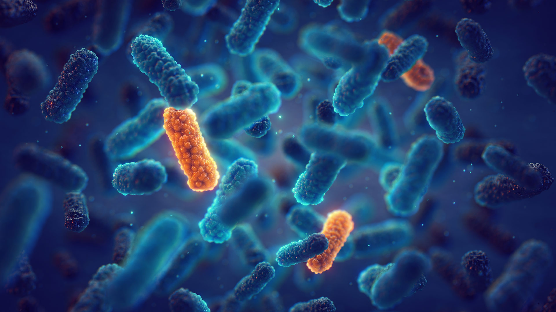 MSc/PGCert Antimicrobial Resistance (2023/24)