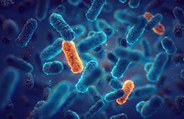 An image of a group of microbes