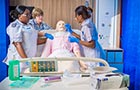 Adult Nursing (pre-registration) MSc