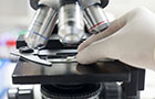 Biomedical Science MSc