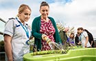 Mental Health Nursing MSc (Pre-registration)