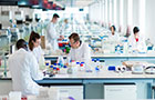 Molecular Biology MSc
