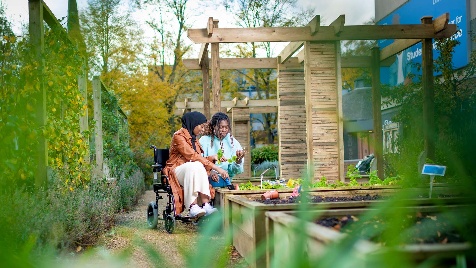 Two students in an allotment, one person in a wheelchair and the other sitting on the wooden frame around the vegetable patches