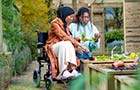 Two students in an allotment, one person in a wheelchair and the other sitting on the wooden frame around the vegetable patches