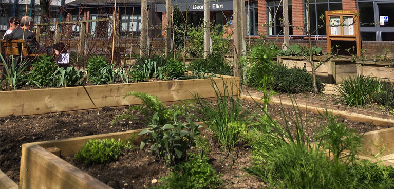 Community Edible Garden