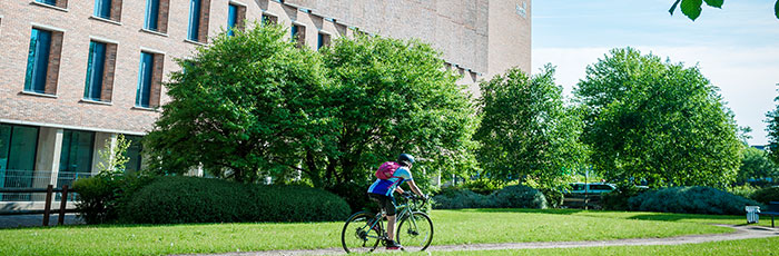 Physical Activity and Health