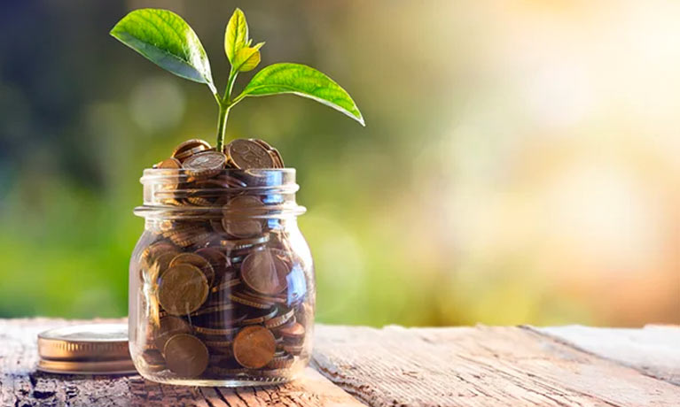 Jar full of two pence pieces and a plant growing out of it on a wooden table outside