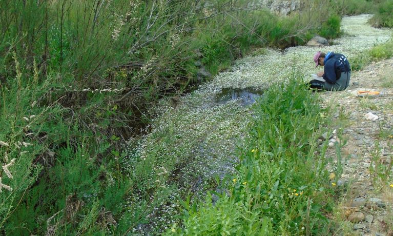 Man inspecting a riverbed