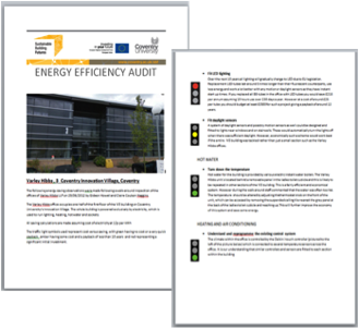 Energy Effiiciency Audit document screenshot