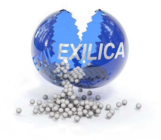 Exilica logo.