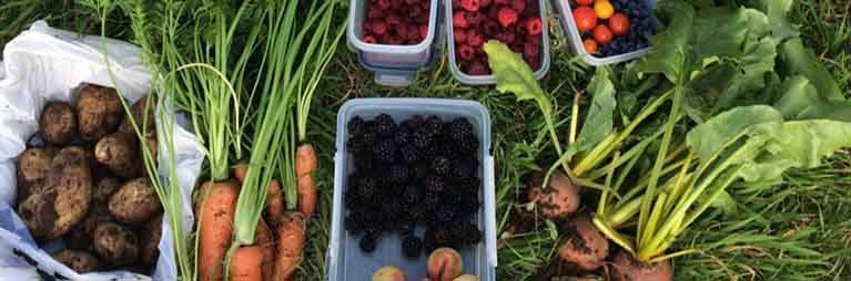 Moving beyond food waste-based solidarity kitchens in time of crisis: the role of agroecology-based community kitchens in building community resourcefulness