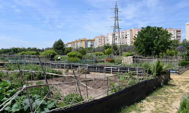 The politics of self-organisation and the social production of space in urban community gardens